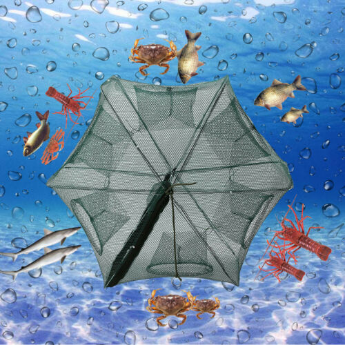Heavy Duty 6/12 Holes Umbrella Foldable Fishing Trap Cast Net Shrimp Minnow New - Deals Kiosk