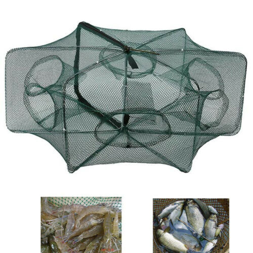 Heavy Duty 6/12 Holes Umbrella Foldable Fishing Trap Cast Net Shrimp Minnow New - Deals Kiosk