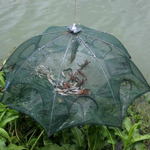 Heavy Duty 6/12 Holes Umbrella Foldable Fishing Trap Cast Net Shrimp Minnow New - Deals Kiosk
