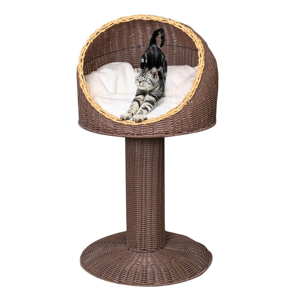 Brown 17 Inch Elevated Rattan Cat Bed with Plush Cushion - Deals Kiosk