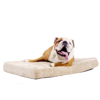 4-inch thick Memory Foam Orthopedic Medium size Dog Bed - Deals Kiosk