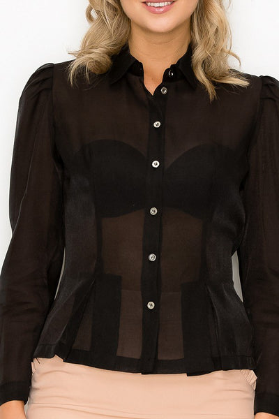 Organza Pleated Long Sleeve Blouse - Deals Kiosk