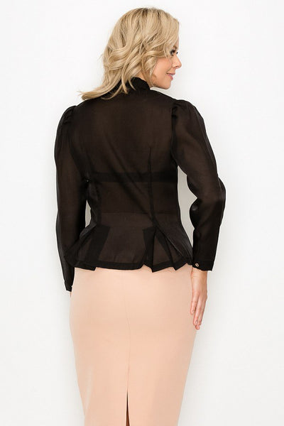 Organza Pleated Long Sleeve Blouse - Deals Kiosk