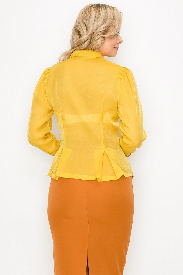 Organza Pleated Long Sleeve Blouse - Deals Kiosk