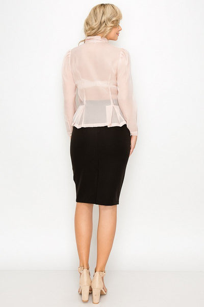 Organza Pleated Long Sleeve Blouse - Deals Kiosk