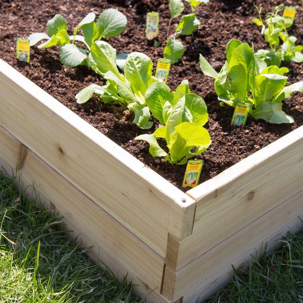 Cedar Wood 6-Ft x 3-Ft Raised Garden Bed Planter Box Frame - Made in USA - Deals Kiosk