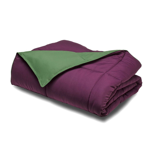 Full/Queen size 3-Piece Green Purple Microfiber Comforter Set with 2 Shams - Deals Kiosk