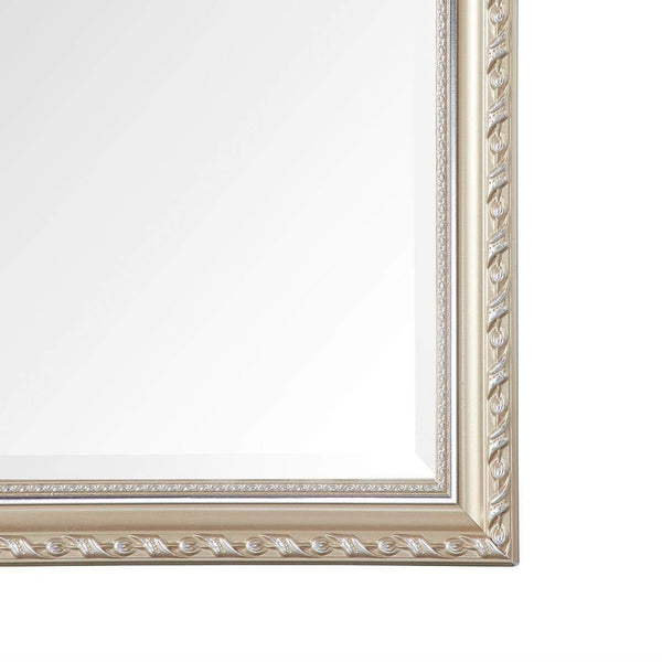 Champagne Full Length 65 x 22 Ornamental Filigree Floor Mirror - Deals Kiosk