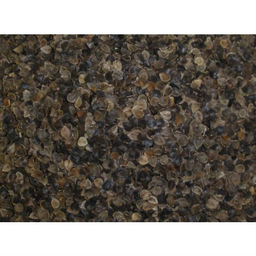 Japanese size 14 x 20 inch Organic Buckwheat Pillow - Deals Kiosk