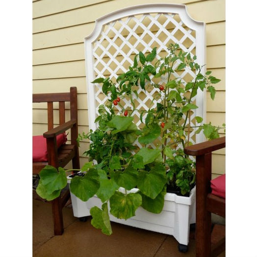 Indoor/Outdoor White Plastic Self Watering Planter with Trellis on Wheels - Deals Kiosk