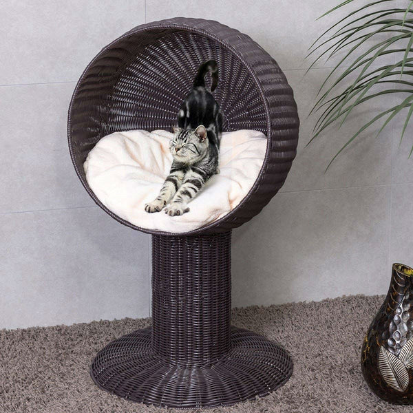 Elevated Wicker Rattan Cat Bed with Machine Washable Cushion - Deals Kiosk