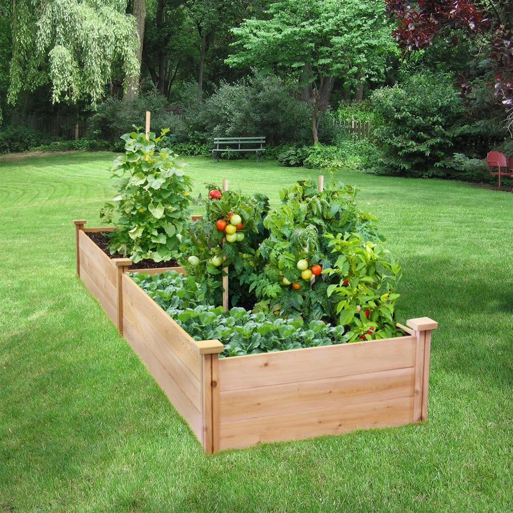 2 ft x 8 ft Cedar Wood Raised Garden Bed - Made in USA - Deals Kiosk
